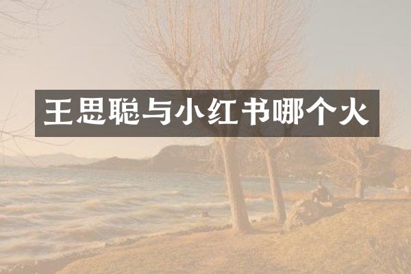 王思聪与小红书哪个火