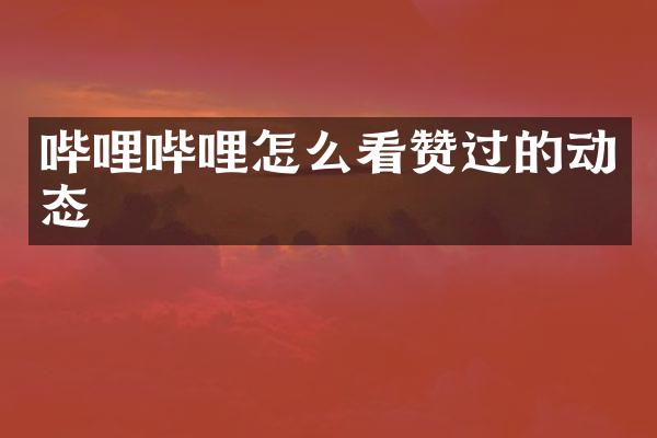 哔哩哔哩怎么看赞过的动态