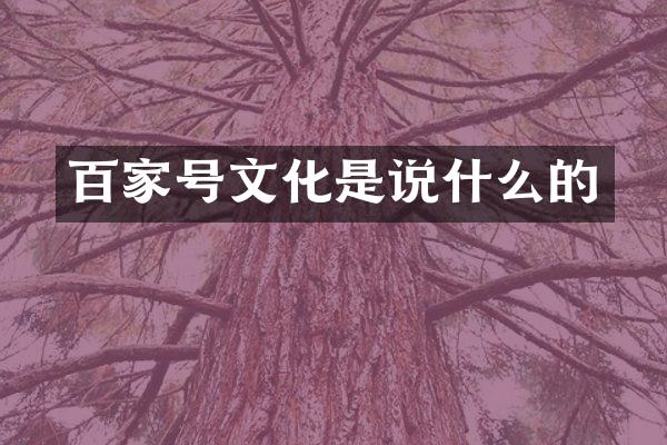 百家号文化是说什么的