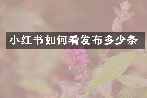 小红书如何看发布多少条