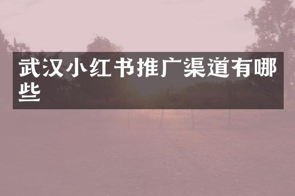 武汉小红书推广渠道有哪些