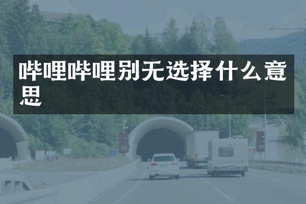 哔哩哔哩别无选择什么意思