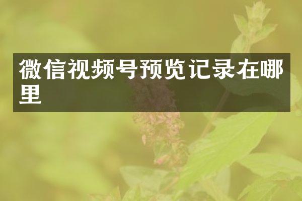 微信视频号预览记录在哪里