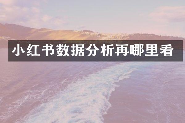 小红书数据分析再哪里看