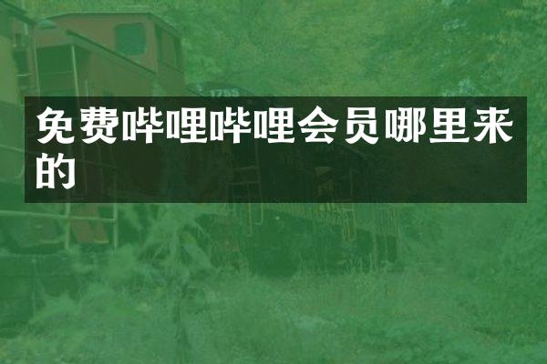 免费哔哩哔哩会员哪里来的