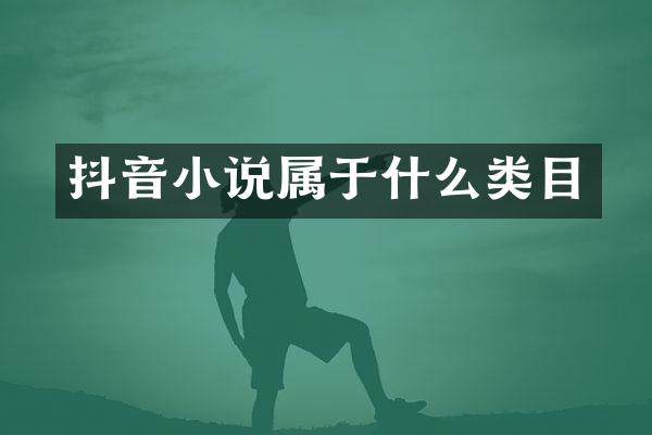 抖音小说属于什么类目
