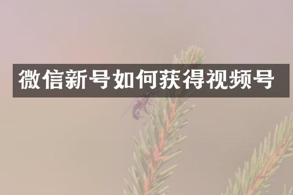 微信新号如何获得视频号