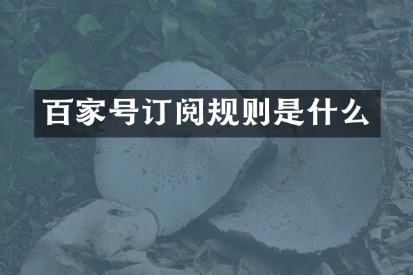 百家号订阅规则是什么