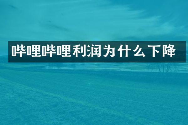 哔哩哔哩利润为什么下降