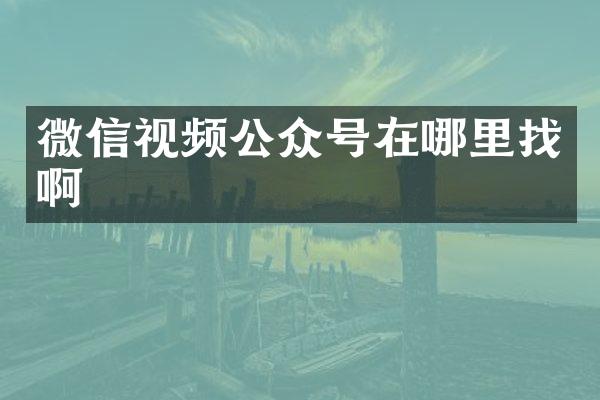微信视频公众号在哪里找啊