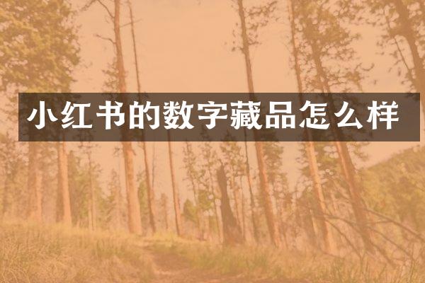 小红书的数字藏品怎么样