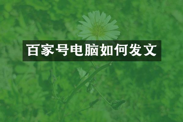 百家号电脑如何发文