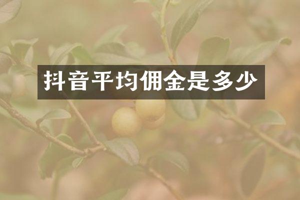 抖音平均佣金是多少