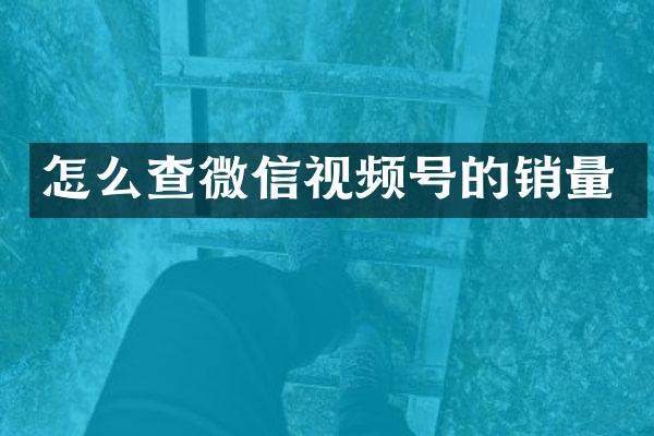 怎么查微信视频号的销量