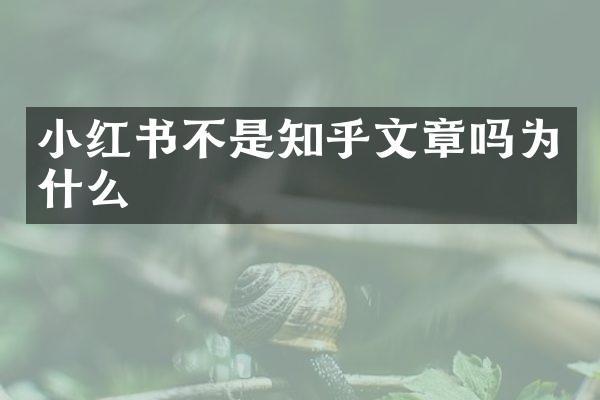 小红书不是知乎文章吗为什么