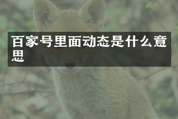 百家号里面动态是什么意思