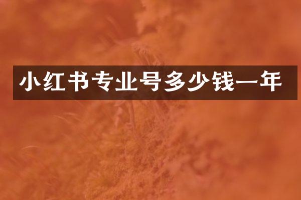 小红书专业号多少钱一年