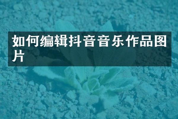 如何编辑抖音音乐作品图片