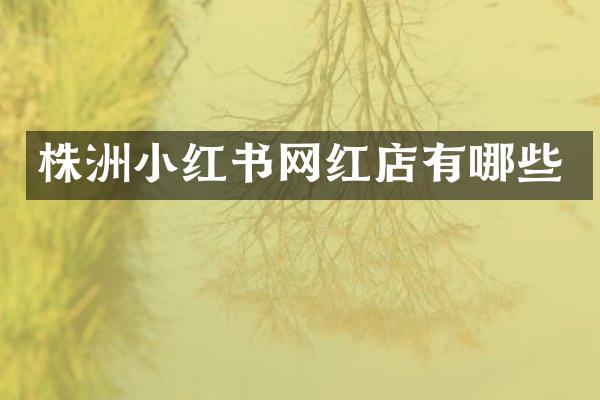 株洲小红书网红店有哪些