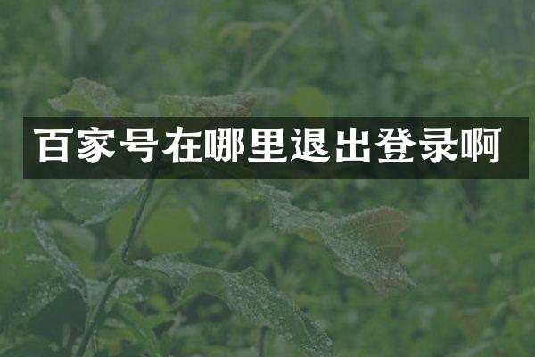 百家号在哪里退出登录啊