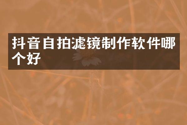 抖音滤镜制作软件哪个好