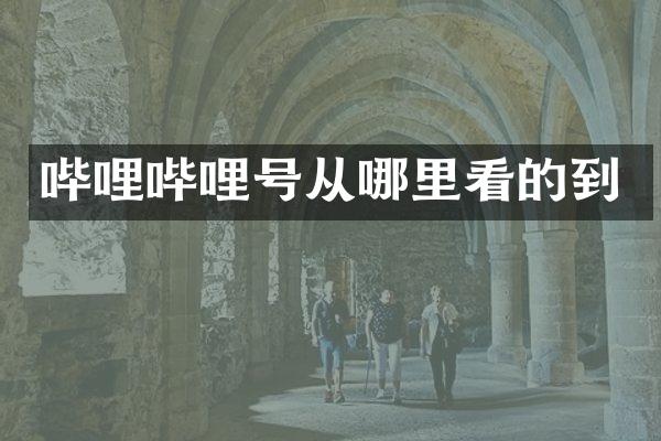 哔哩哔哩号从哪里看的到