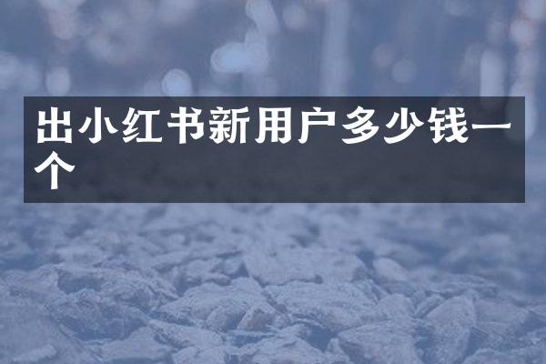 出小红书新用户多少钱一个