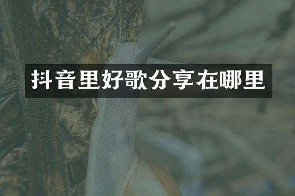 抖音里好歌分享在哪里