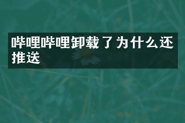 哔哩哔哩卸载了为什么还推送