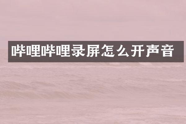 哔哩哔哩录屏怎么开声音