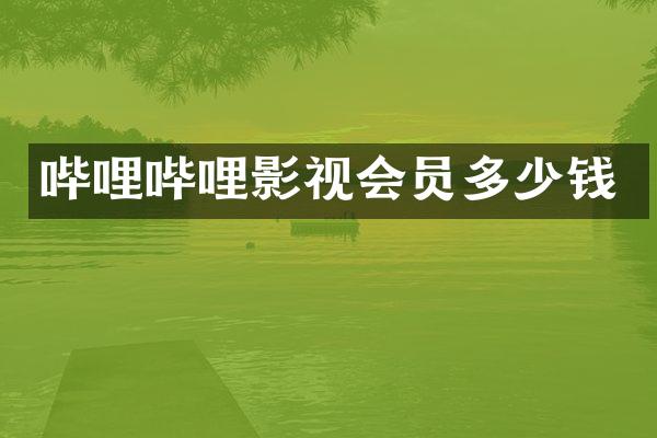 哔哩哔哩影视会员多少钱