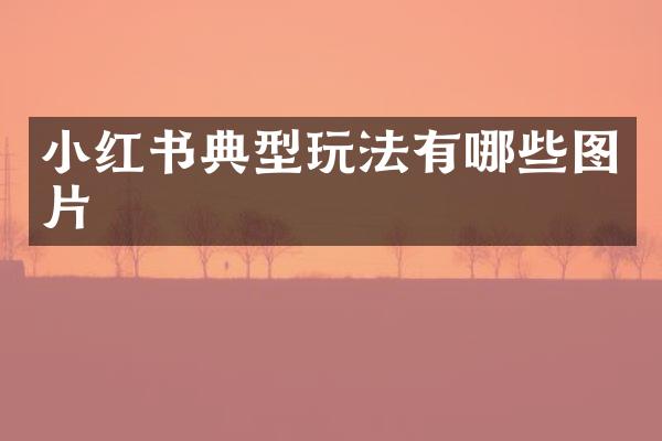 小红书典型玩法有哪些图片