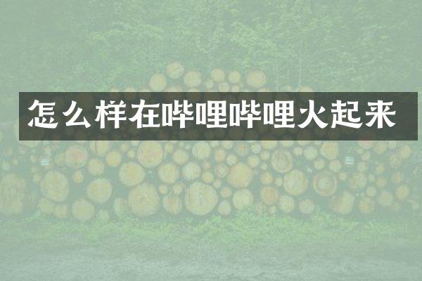 怎么样在哔哩哔哩火起来