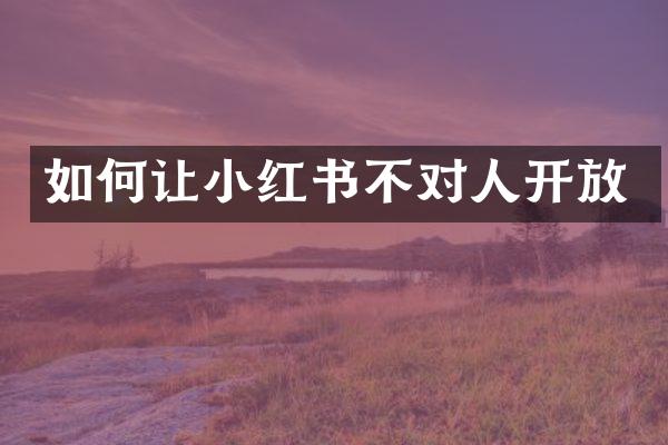 如何让小红书不对人开放