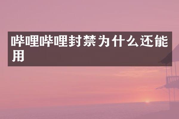 哔哩哔哩封禁为什么还能用
