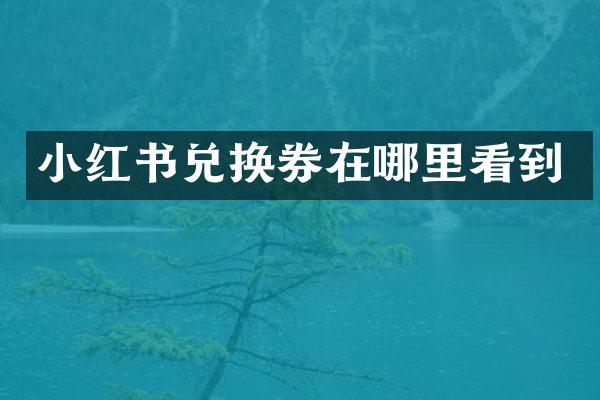 小红书兑换券在哪里看到