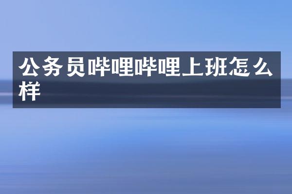 公务员哔哩哔哩上班怎么样