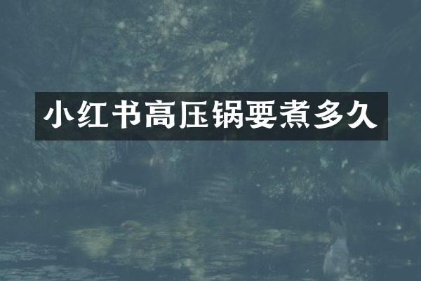 小红书高压锅要煮多久