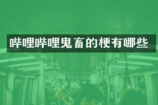 哔哩哔哩鬼畜的梗有哪些