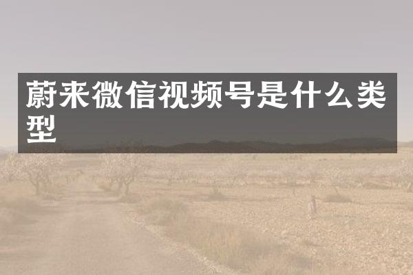 蔚来微信视频号是什么类型