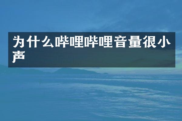 为什么哔哩哔哩音量很小声