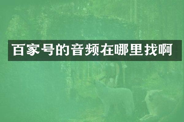 百家号的音频在哪里找啊