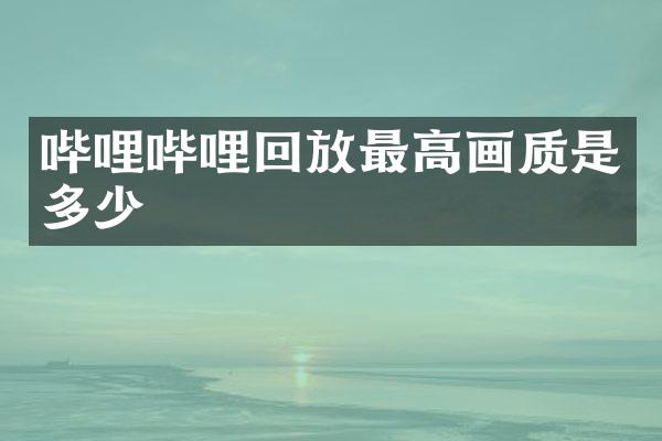 哔哩哔哩回放最高画质是多少