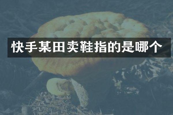 快手某田卖鞋指的是哪个