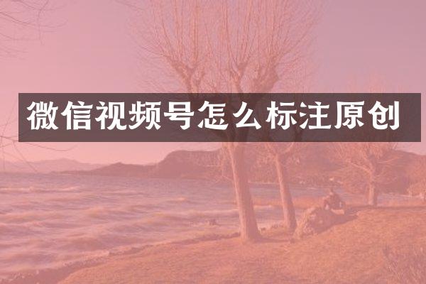 微信视频号怎么标注原创
