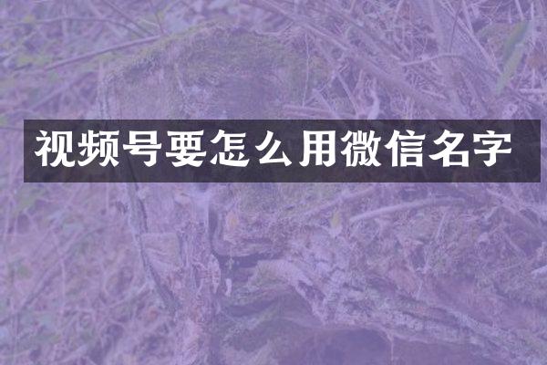 视频号要怎么用微信名字