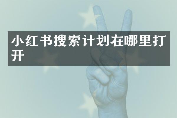 小红书搜索计划在哪里打开