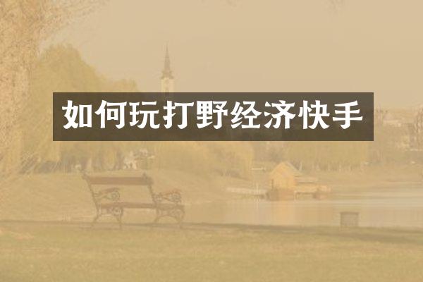 如何玩打野经济快手