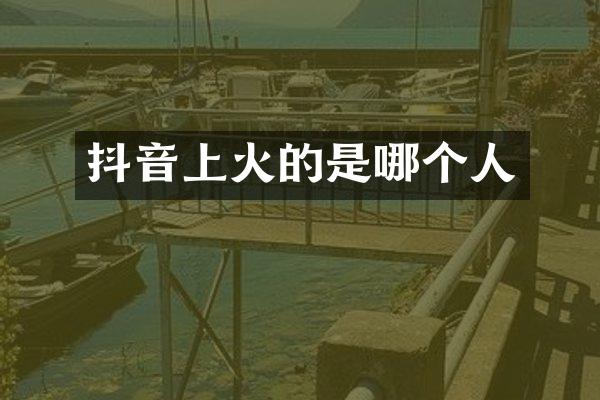 抖音上火的是哪个人