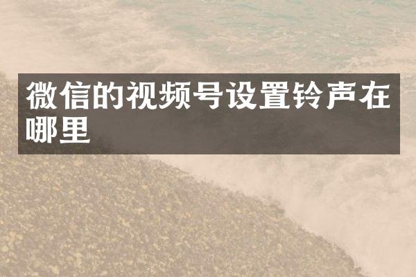 微信的视频号设置铃声在哪里